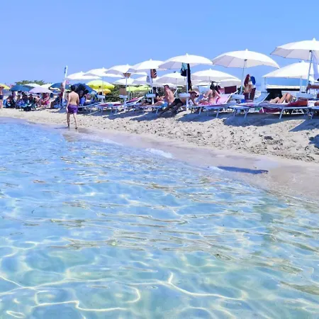 Ama Conchiglia Gallipolli