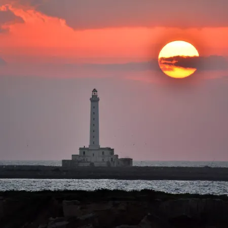 Ama Conchiglia * Gallipolli