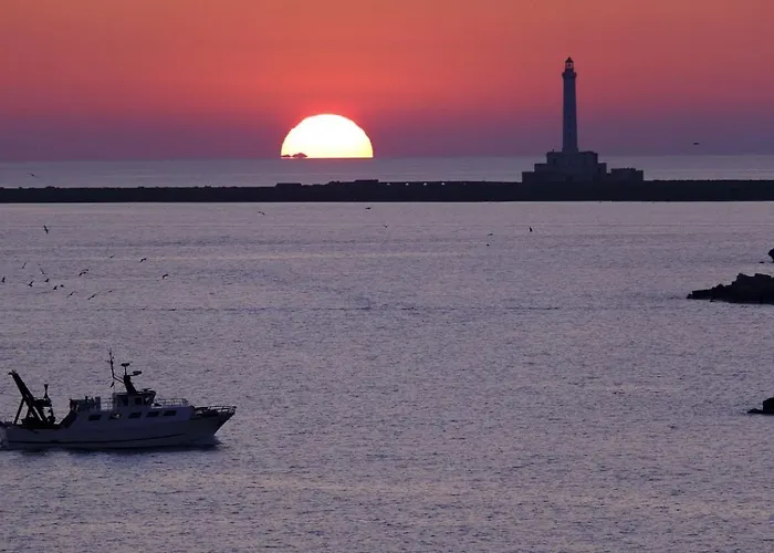 아파트 Ama Conchiglia